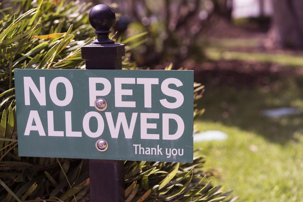 no pets allowed sign